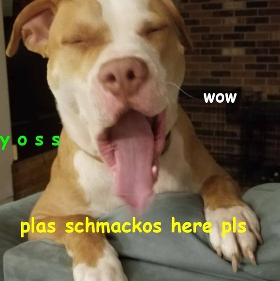 jlswords